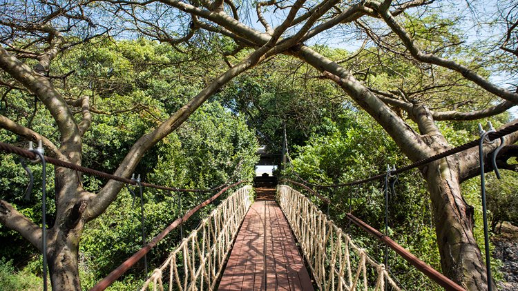 Mara Plains Camp Great Plains en Masai Mara