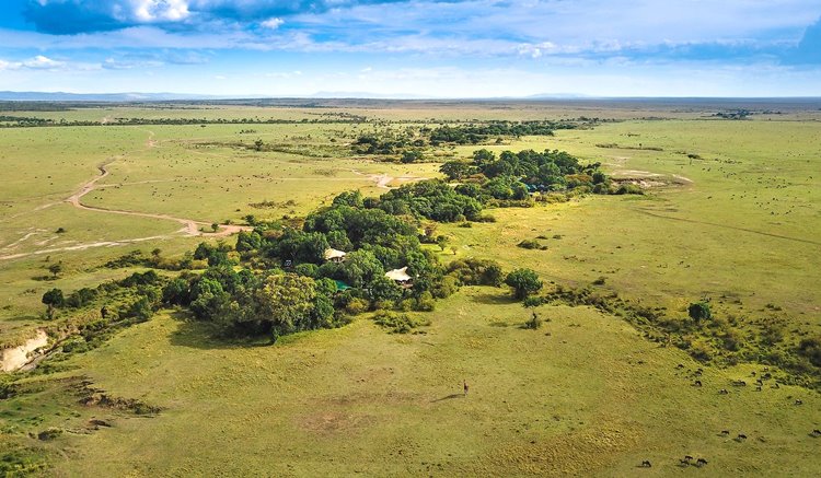 Mara Plains Camp Great Plains en Masai Mara