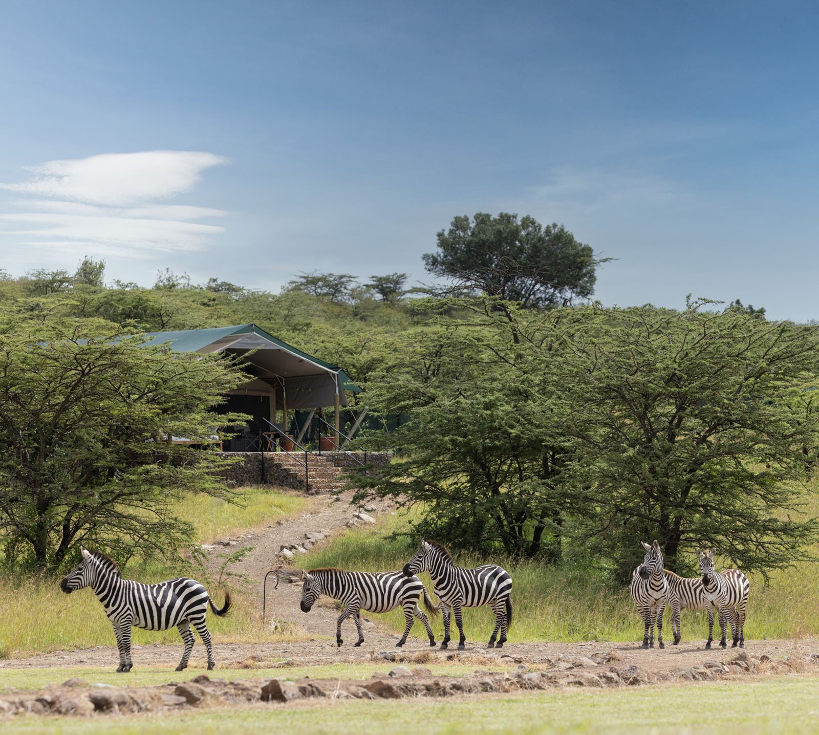 Offbeat Ndoto Camp en Masai Mara