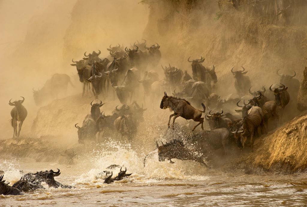 Offbeat Ndoto Camp en Masai Mara