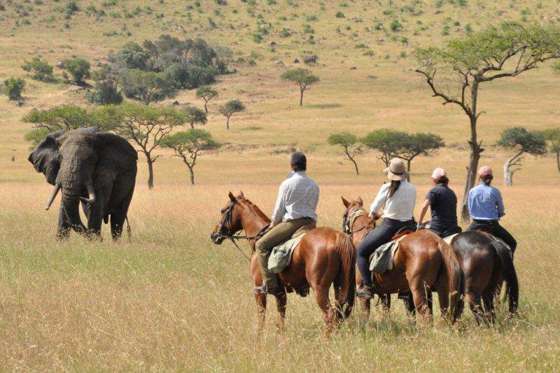 Safari a caballo en Masai Mara