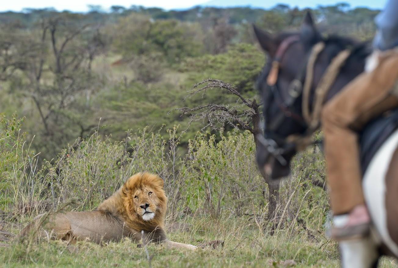 Safari a caballo en Masai Mara