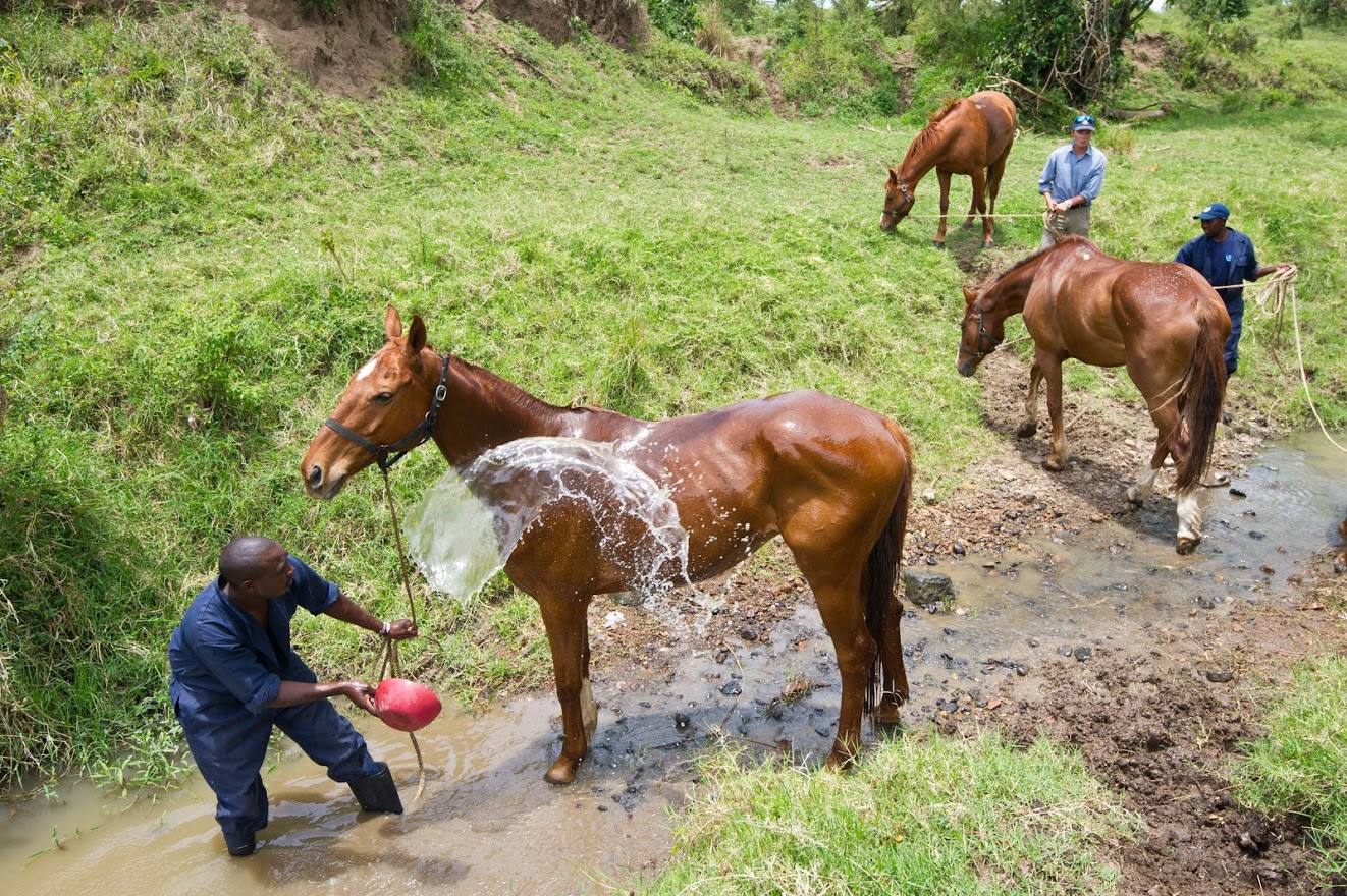 Safari a caballo en Masai Mara