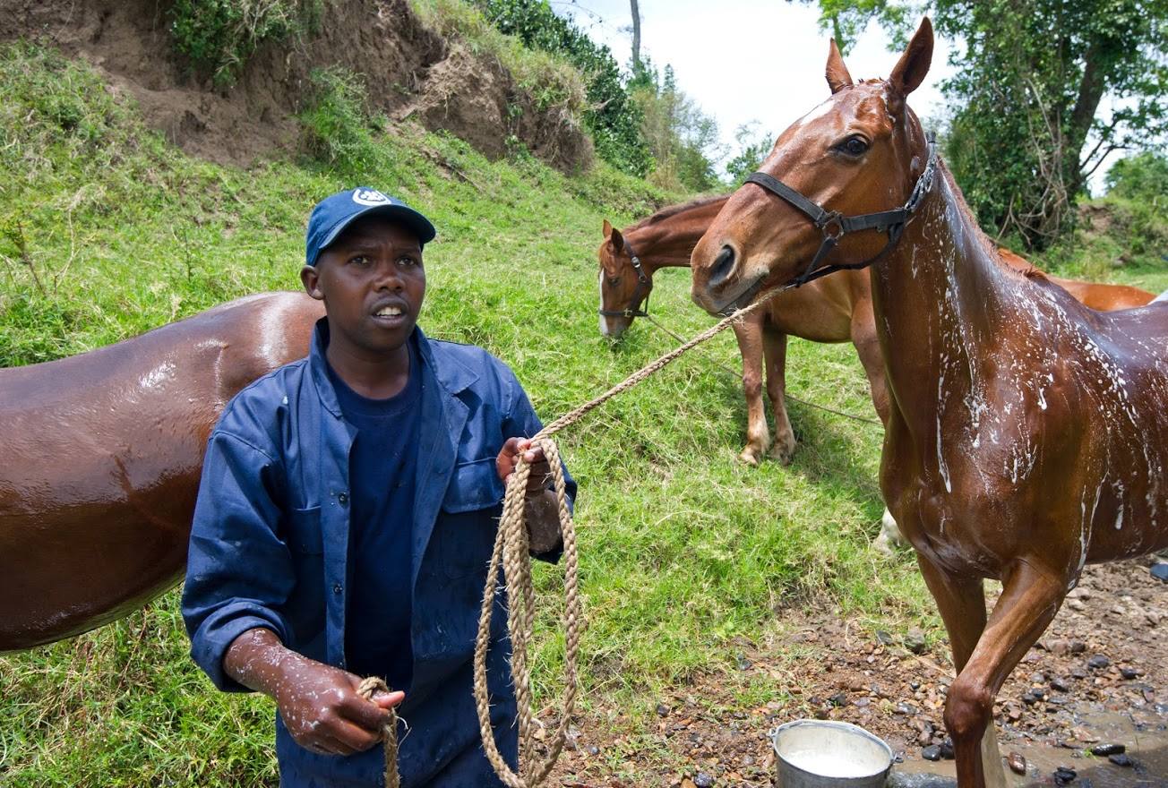 Safari a caballo en Masai Mara