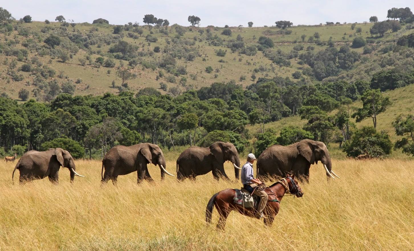 Safari a caballo en Masai Mara
