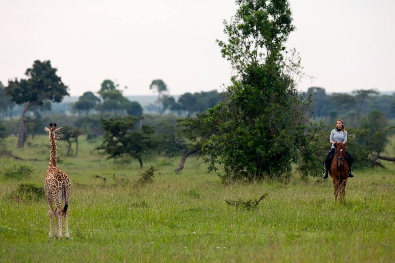 Safari a caballo en Masai Mara
