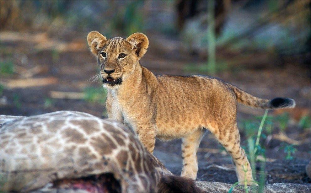 Imagen de viaje Viajes Latitud40