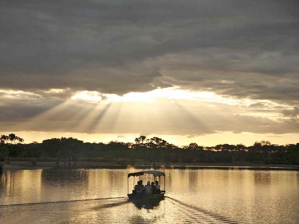 Selous Reserve | LAT.40