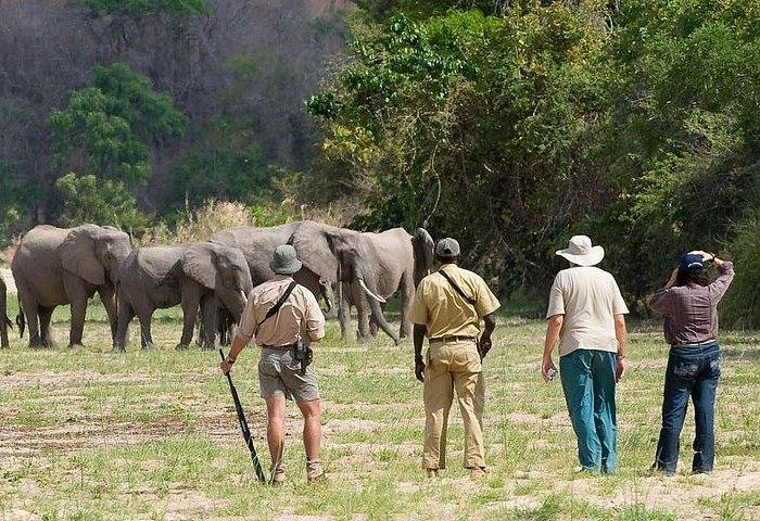 Selous Reserve | LAT.40