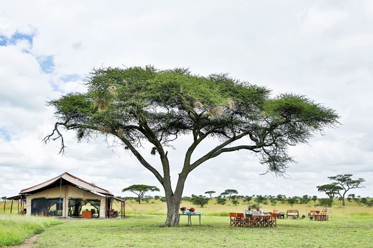 Pumzika Safari Camp en Serengeti