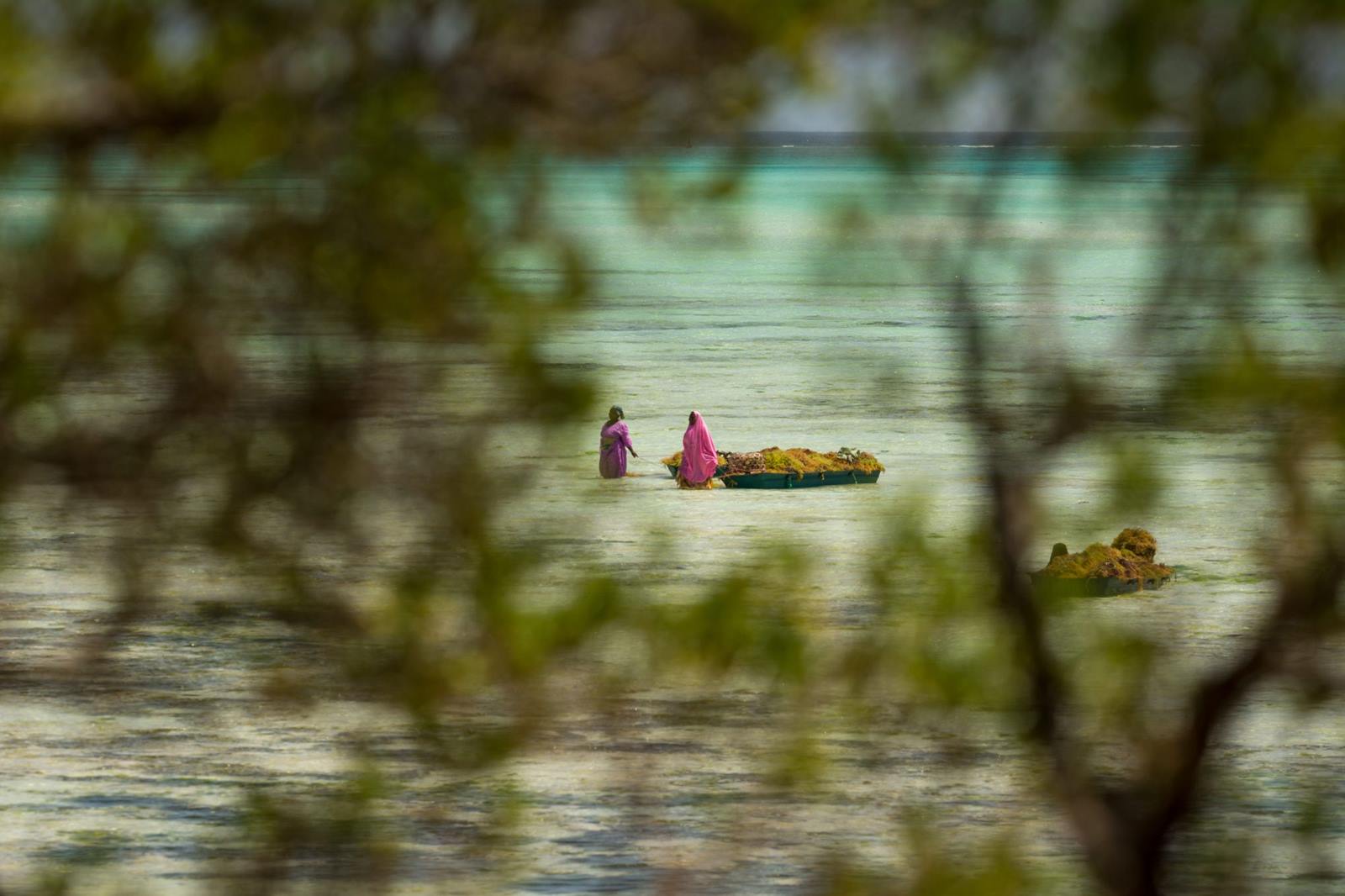 The Island Pongwe Lodge en Zanzibar