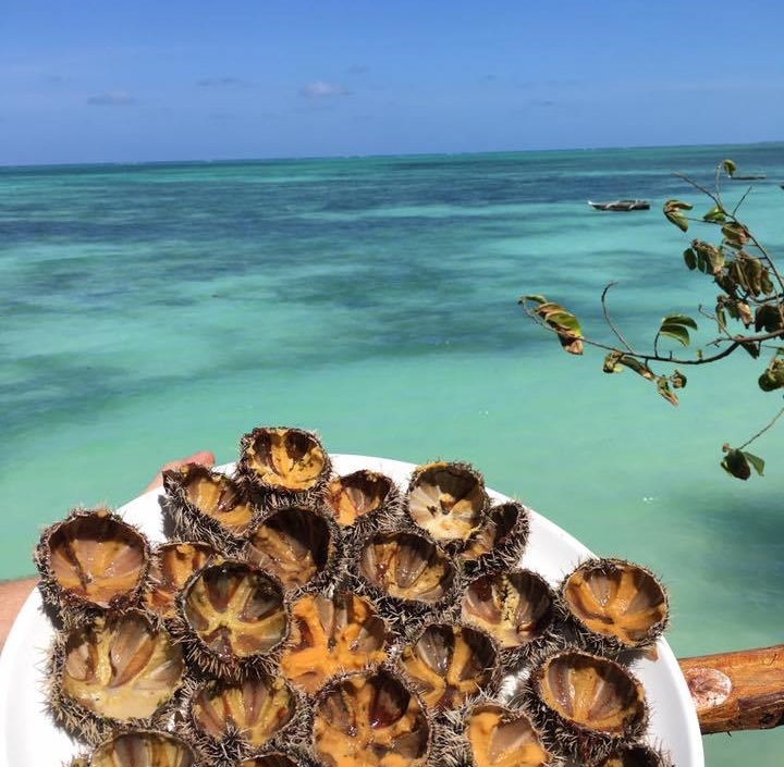 The Island Pongwe Lodge en Zanzibar