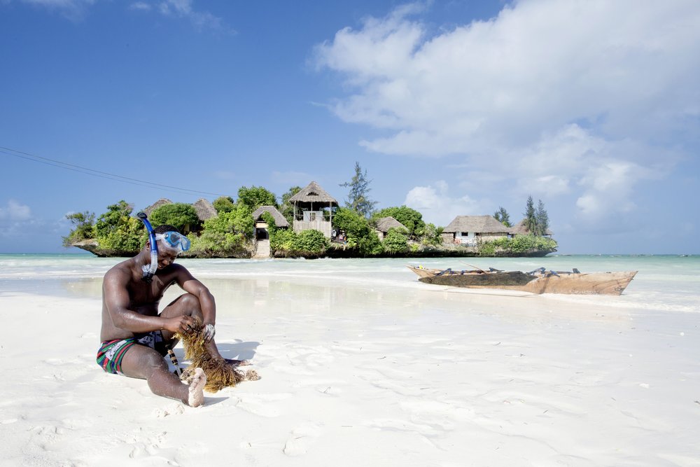 The Island Pongwe Lodge en Zanzibar