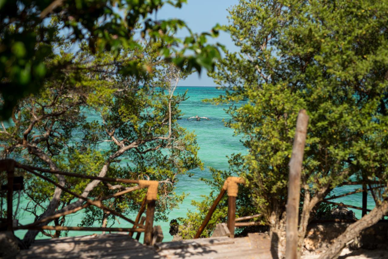 The Island Pongwe Lodge en Zanzibar