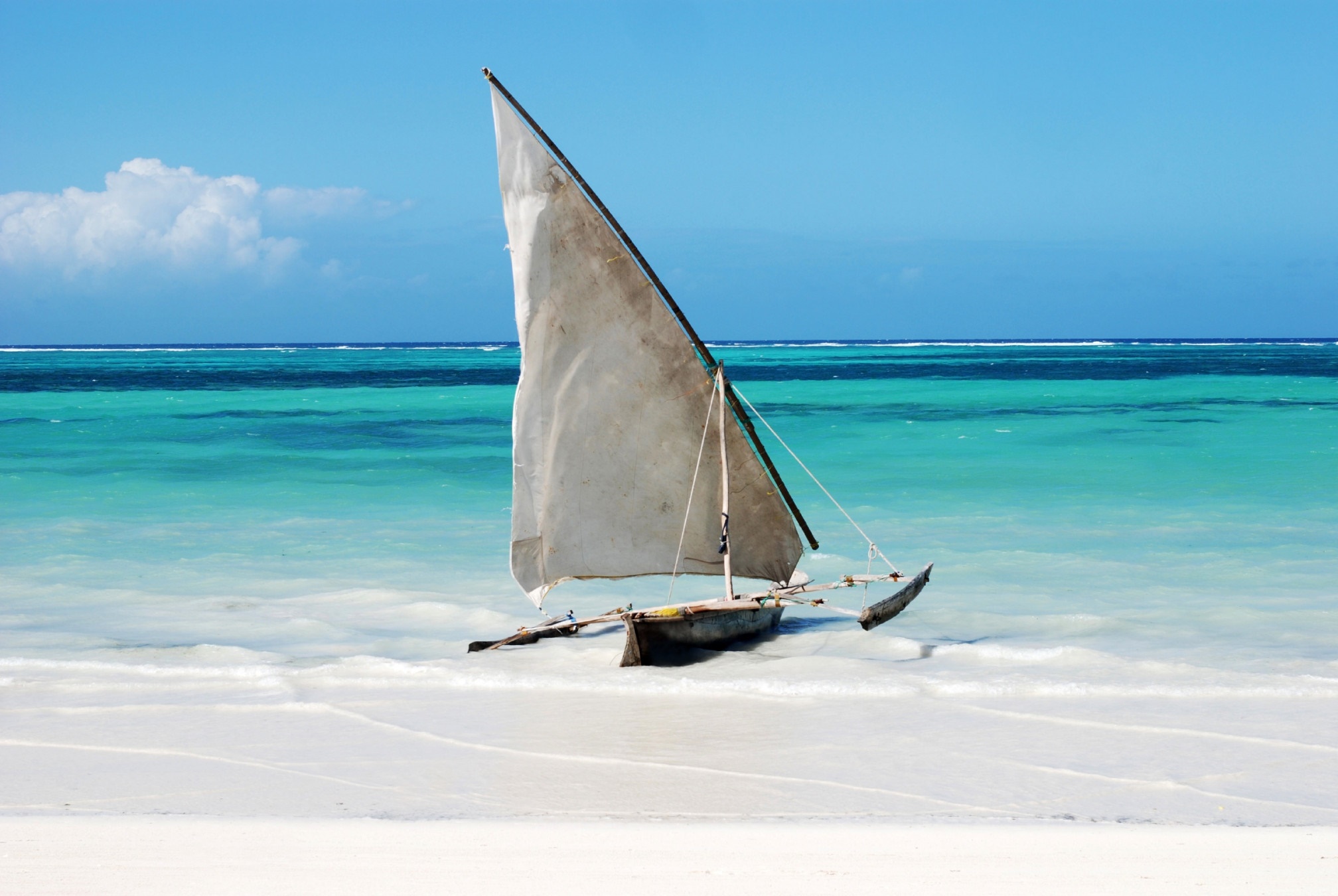 Zanzibar | LAT.40