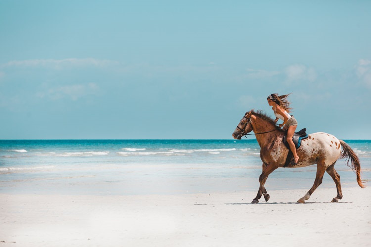 Zanzibar | LAT.40