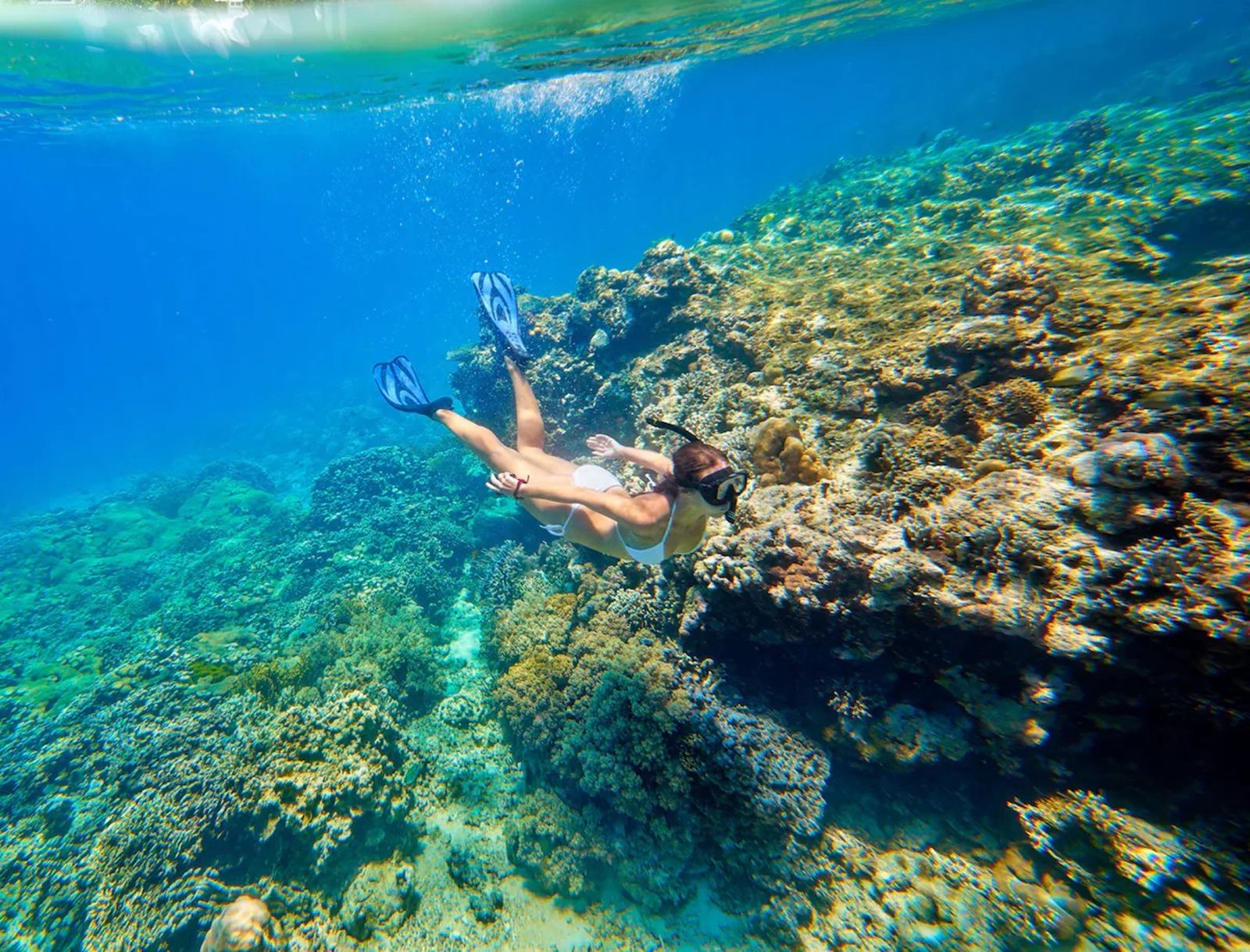 Imagen de viaje Viajes Latitud40