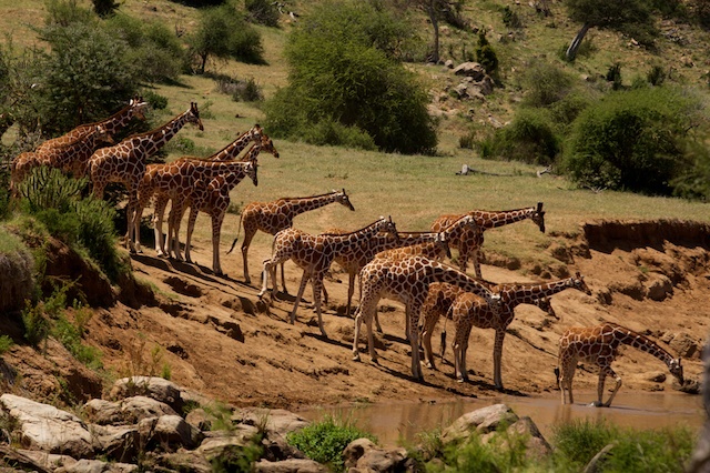 Offbeat Sosian Lodge en Laikipia 