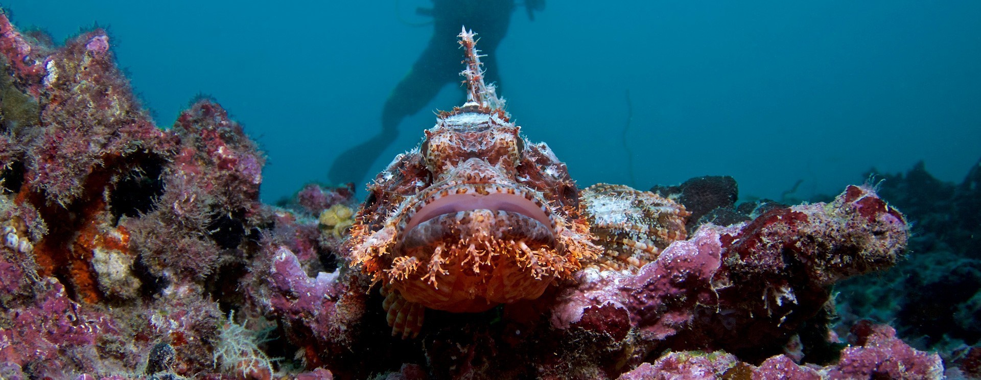 Coco Bodu Hithi en North Male Atoll