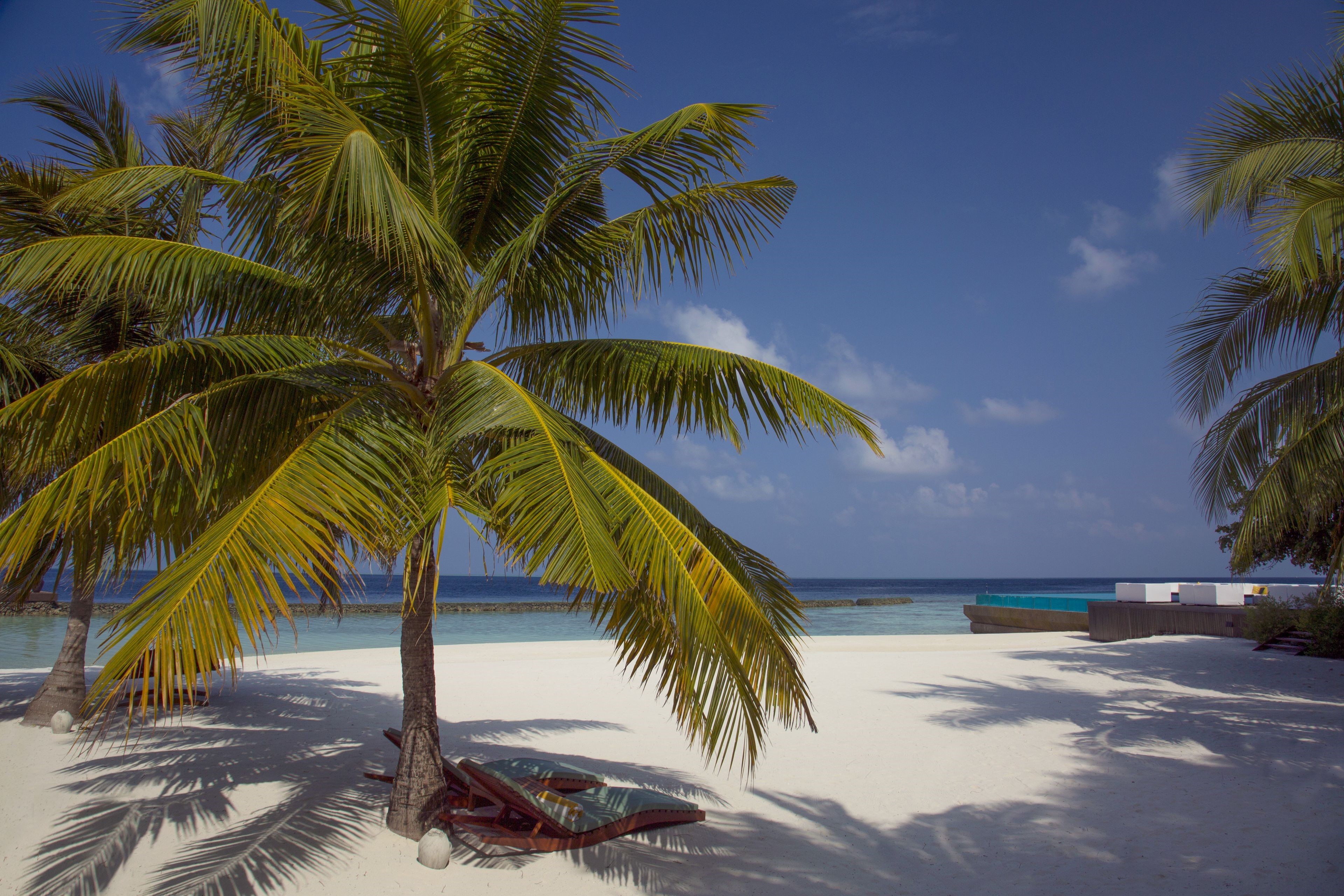 Coco Bodu Hithi en North Male Atoll
