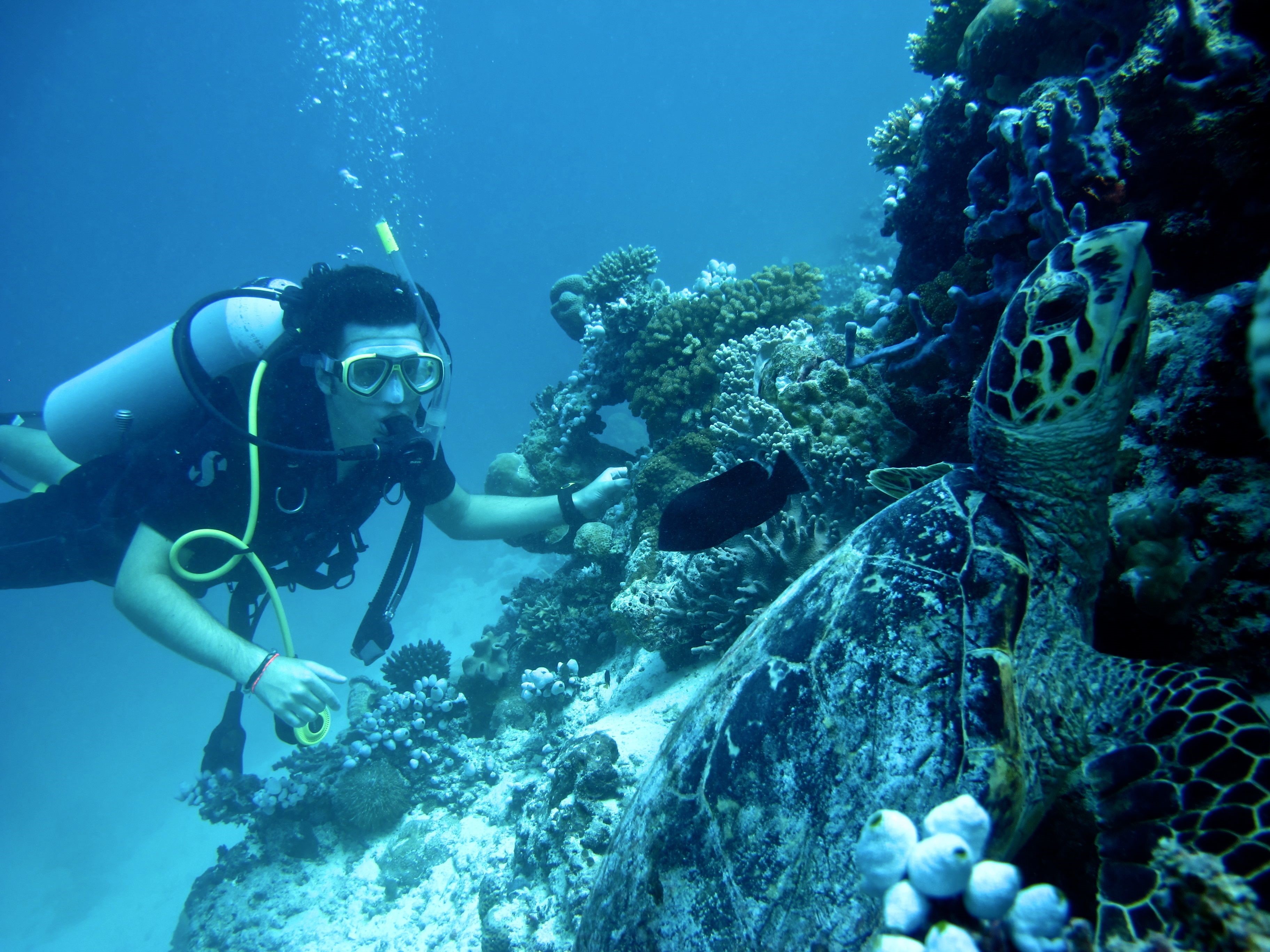 Coco Bodu Hithi en North Male Atoll