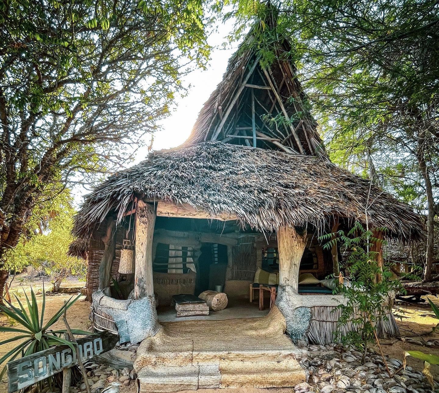 Che Sale en Kenia