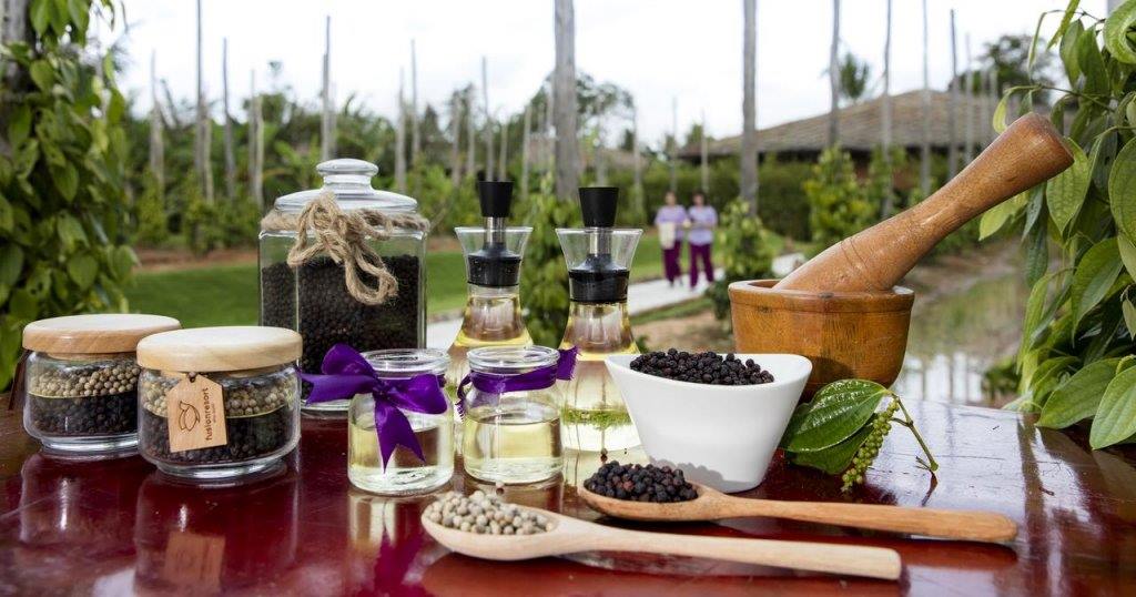 Fusion Resort Phu Quoc en Phu Quoc