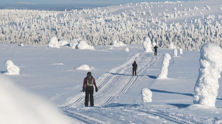 Rovaniemi | LAT.40