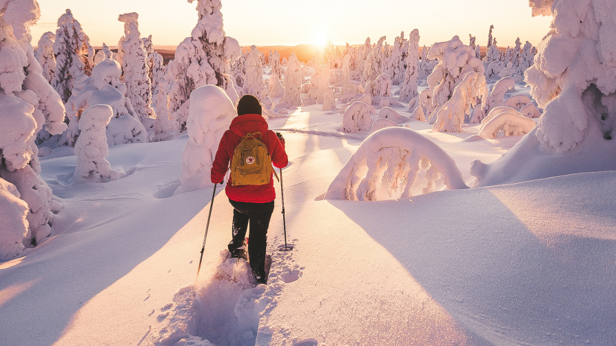 Rovaniemi | LAT.40