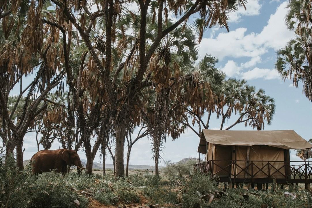Samburu
