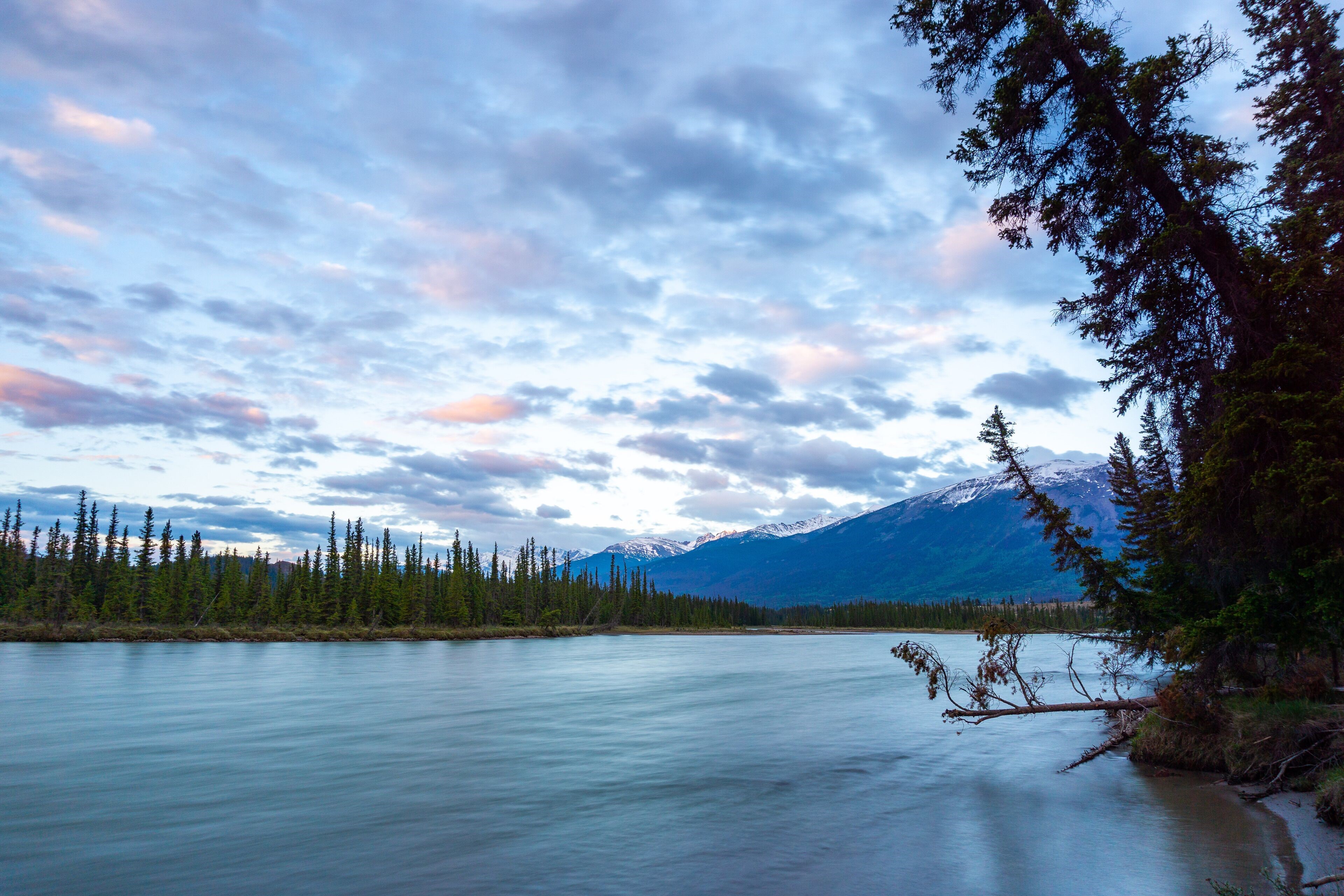 Pine Bungalows en Jasper