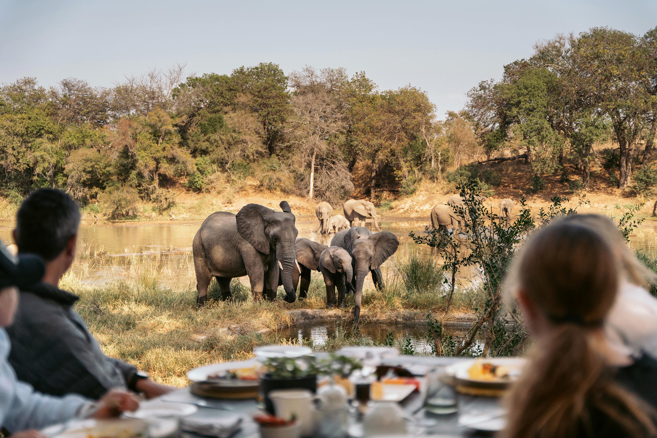 AndBeyond Ngala Safari Lodge en Ngala Private Game Reserve