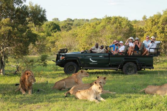 AndBeyond Ngala Safari Lodge en Ngala Private Game Reserve