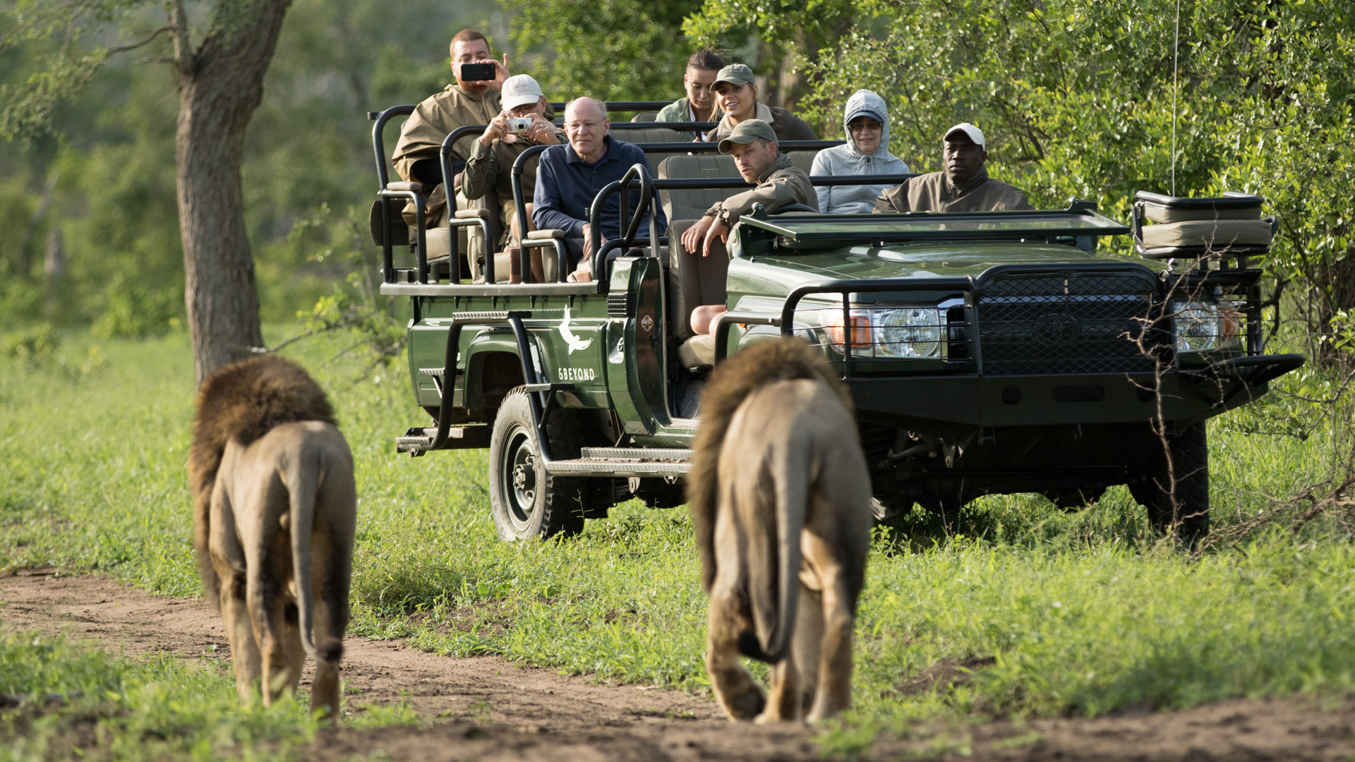 AndBeyond Ngala Safari Lodge en Ngala Private Game Reserve