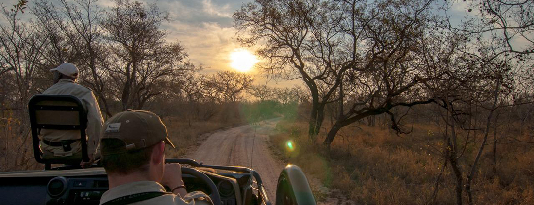 AndBeyond Ngala Safari Lodge en Ngala Private Game Reserve