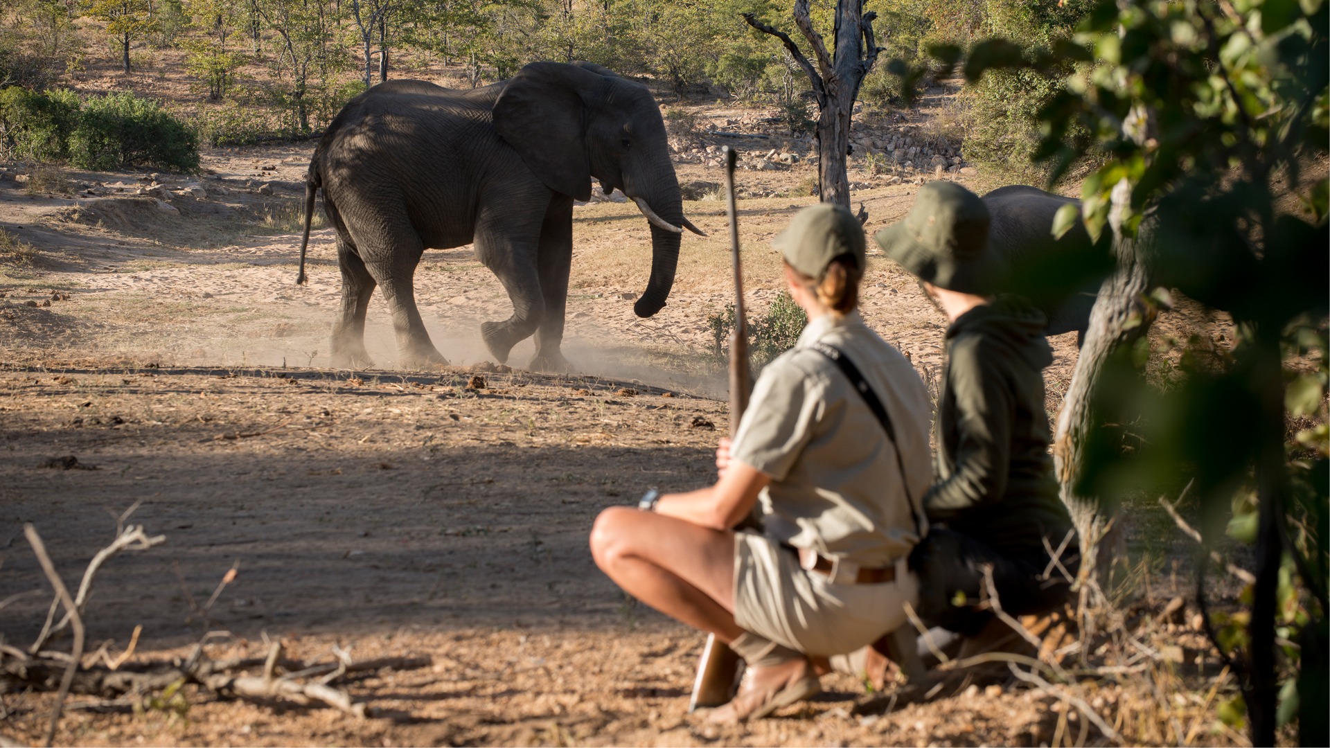 AndBeyond Ngala Safari Lodge en Ngala Private Game Reserve