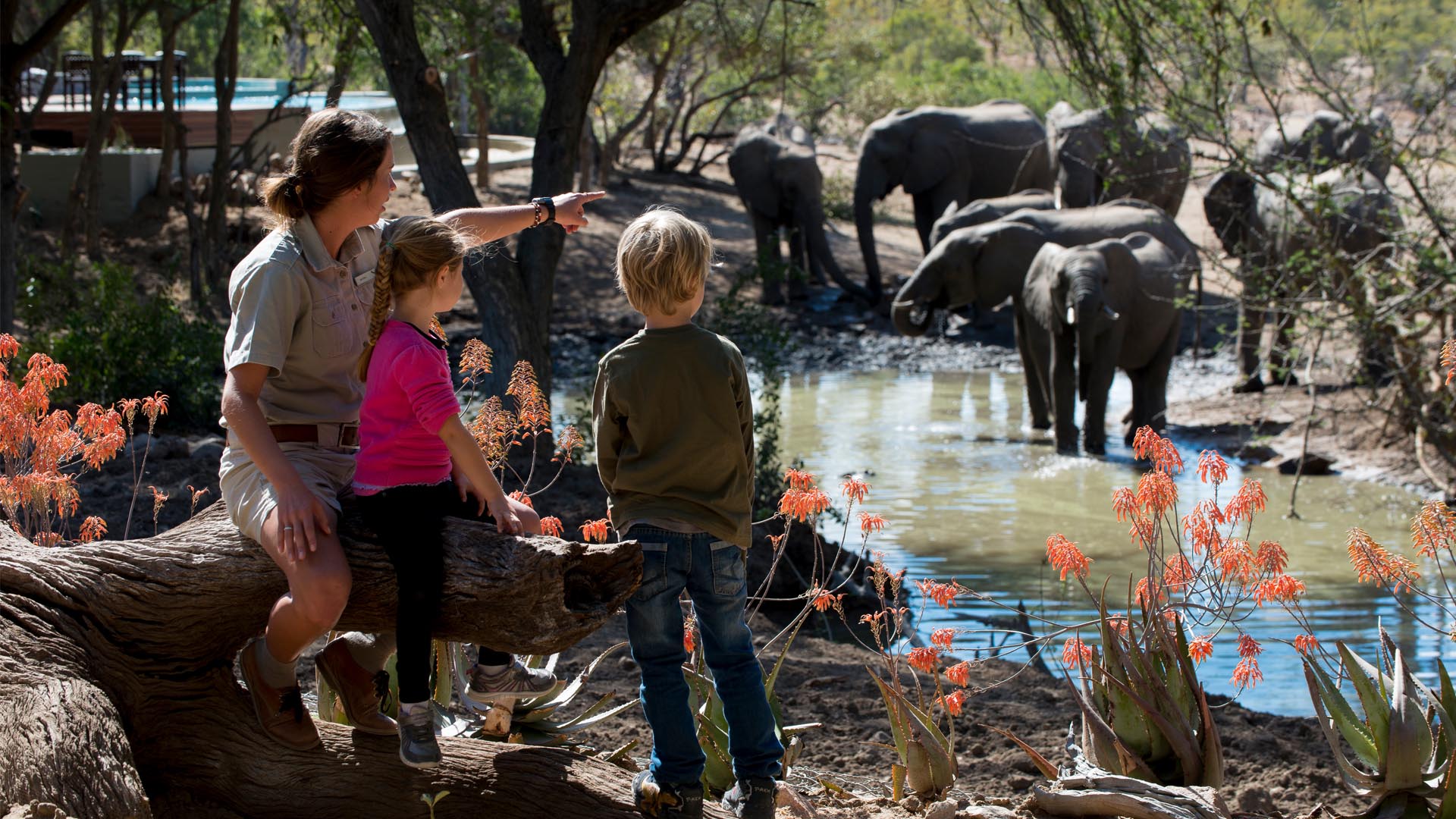 AndBeyond Ngala Safari Lodge en Ngala Private Game Reserve