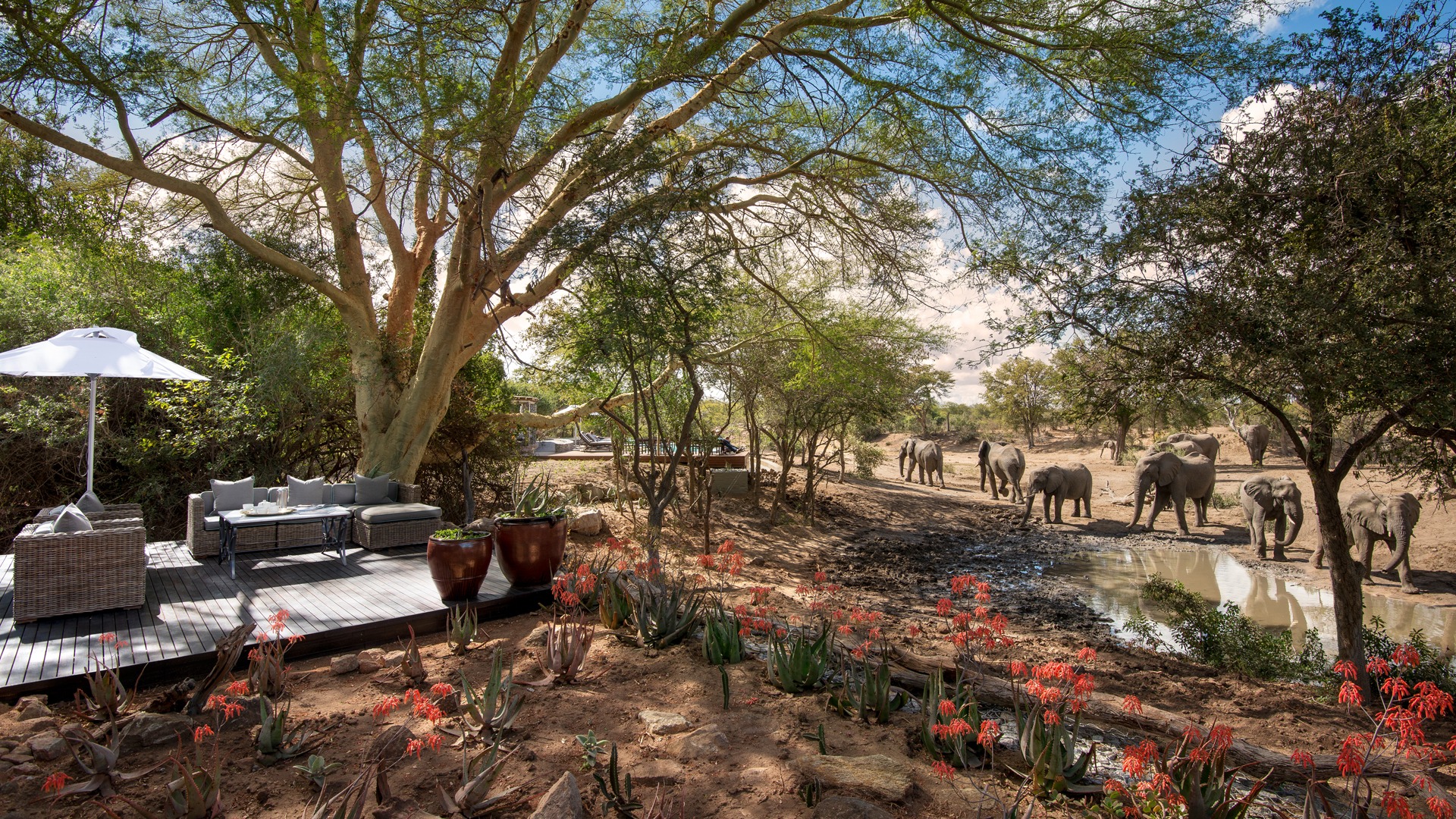 AndBeyond Ngala Safari Lodge en Ngala Private Game Reserve