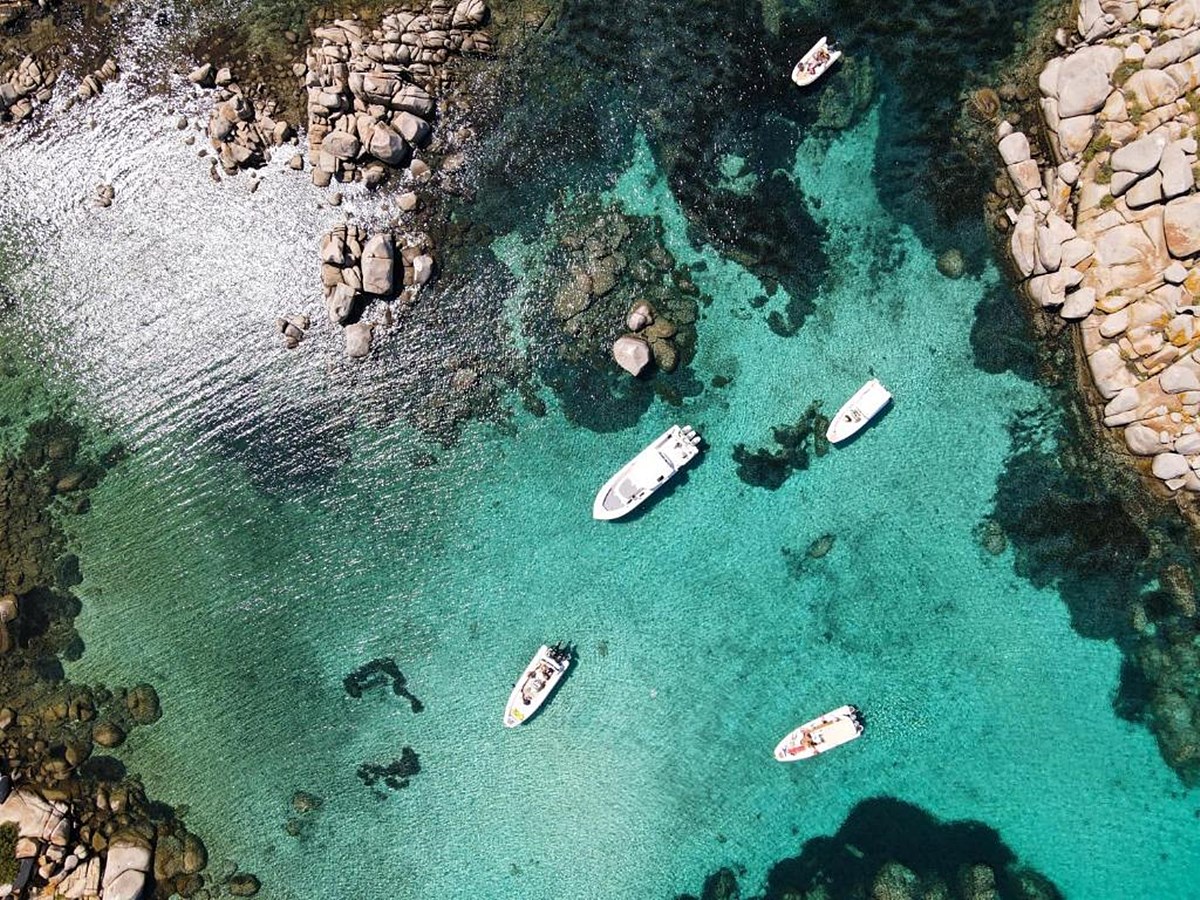 Bonifacio