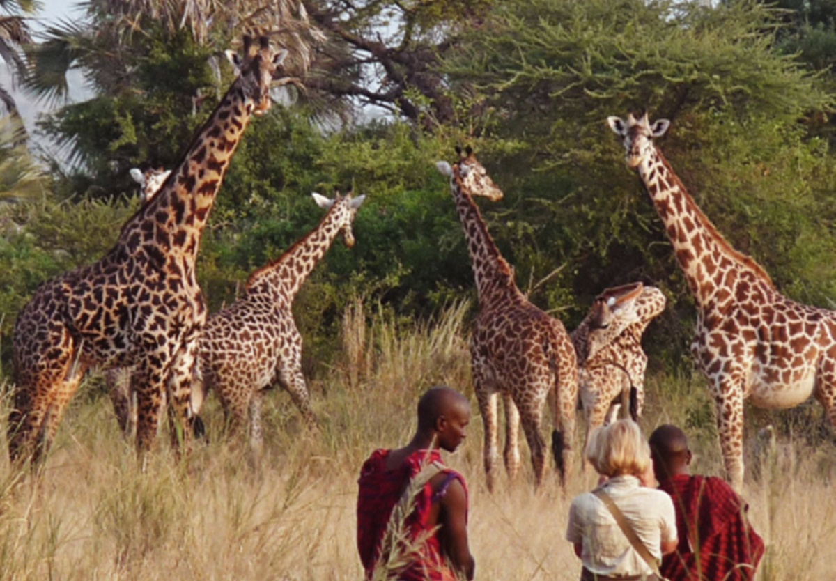Tarangire