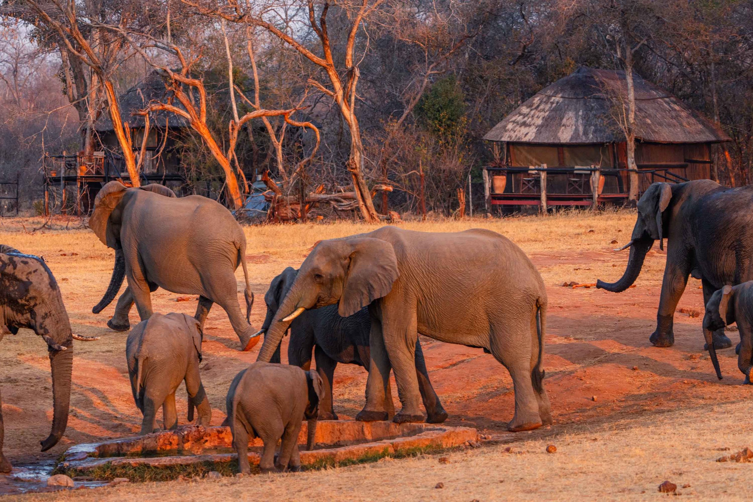 Hwange