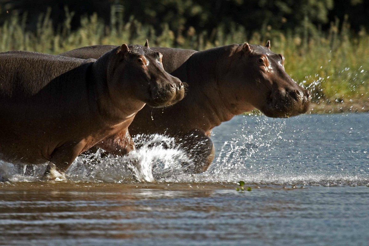 Lower Zambezi