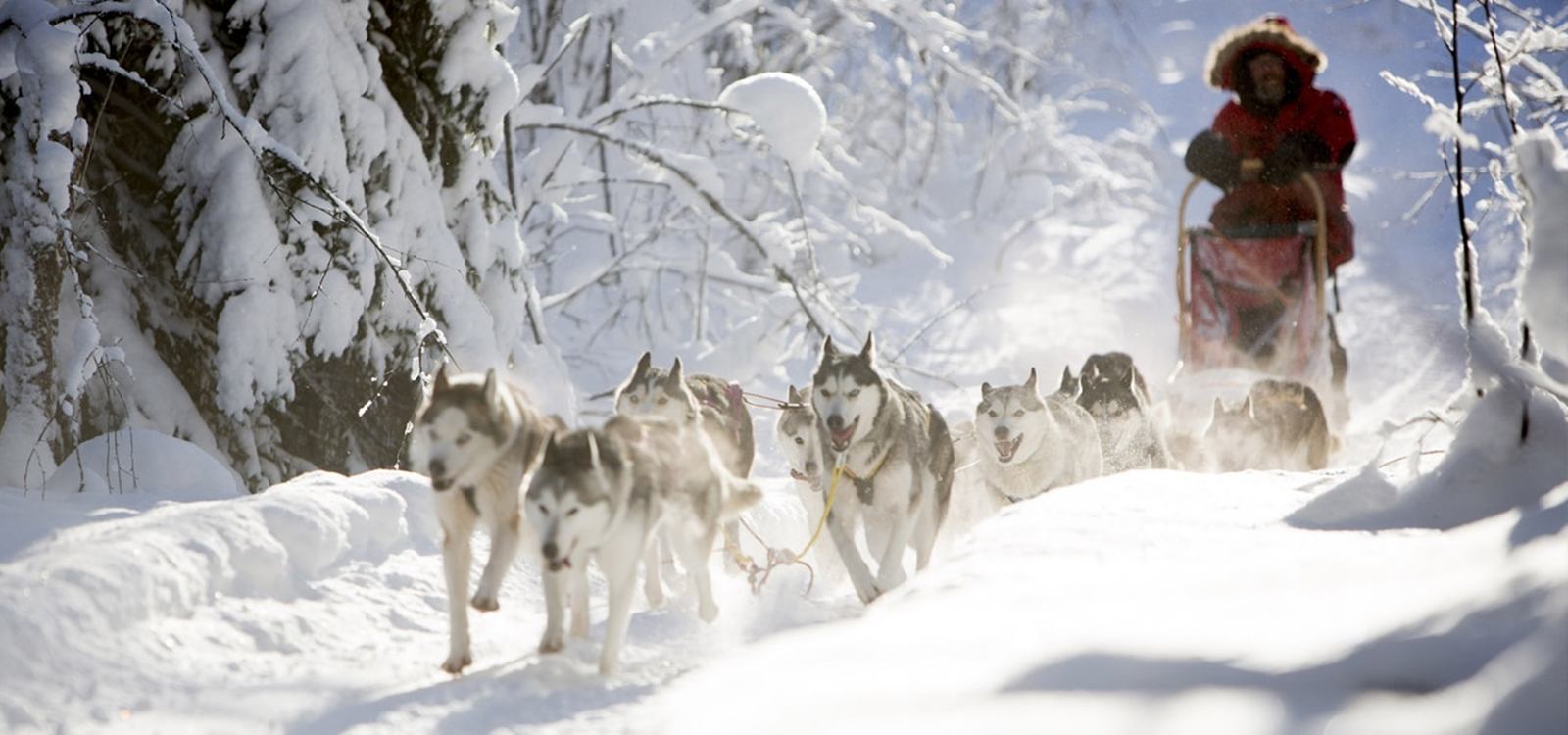 Aurora Safari Camp  en lulea
