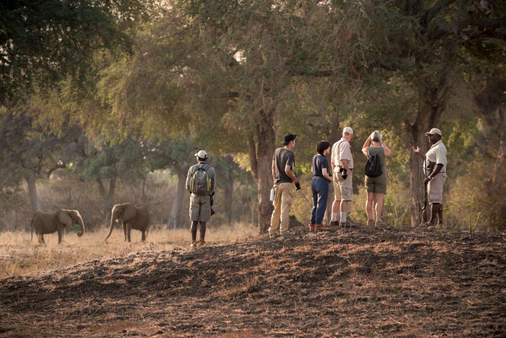 Kanga Expeditions en Mana Pools