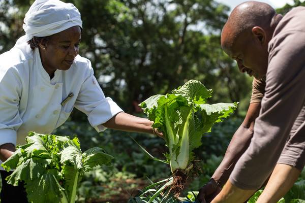 AndBeyond Ngorongoro Crater Lodge en Ngorongoro