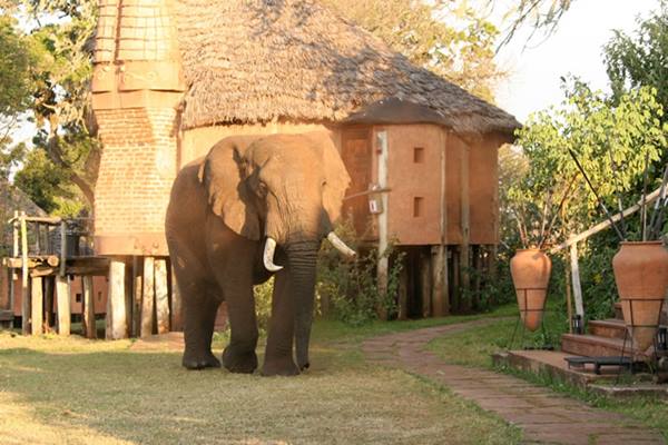 AndBeyond Ngorongoro Crater Lodge en Ngorongoro