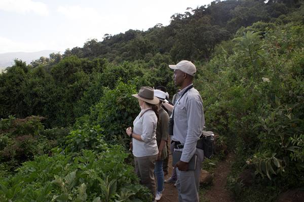 AndBeyond Ngorongoro Crater Lodge en Ngorongoro