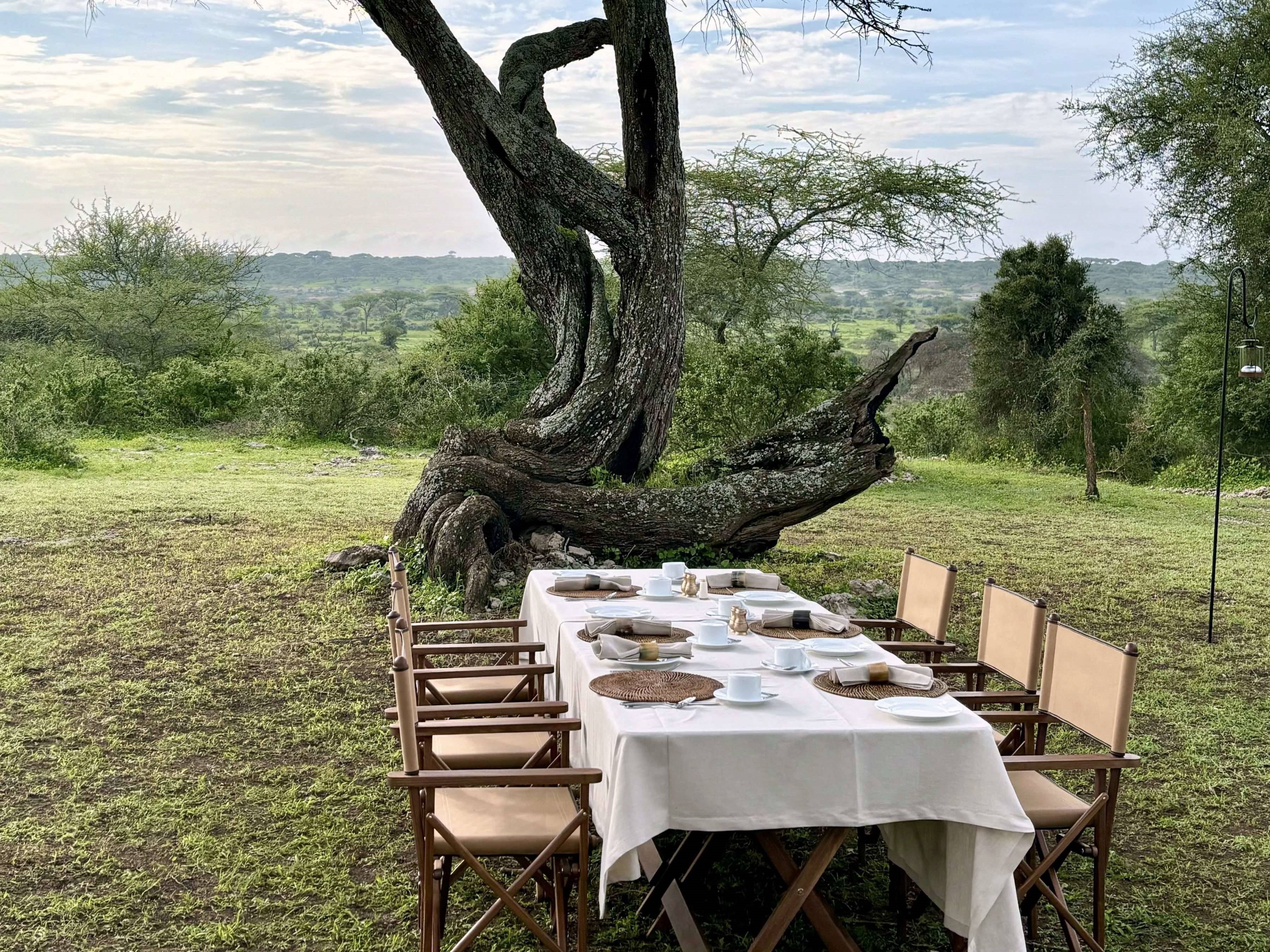 Serengeti