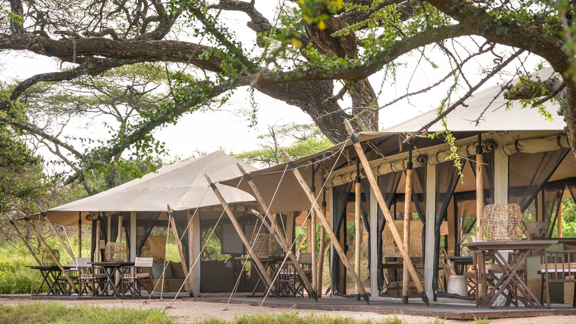 Mila Tented Camp en Serengeti