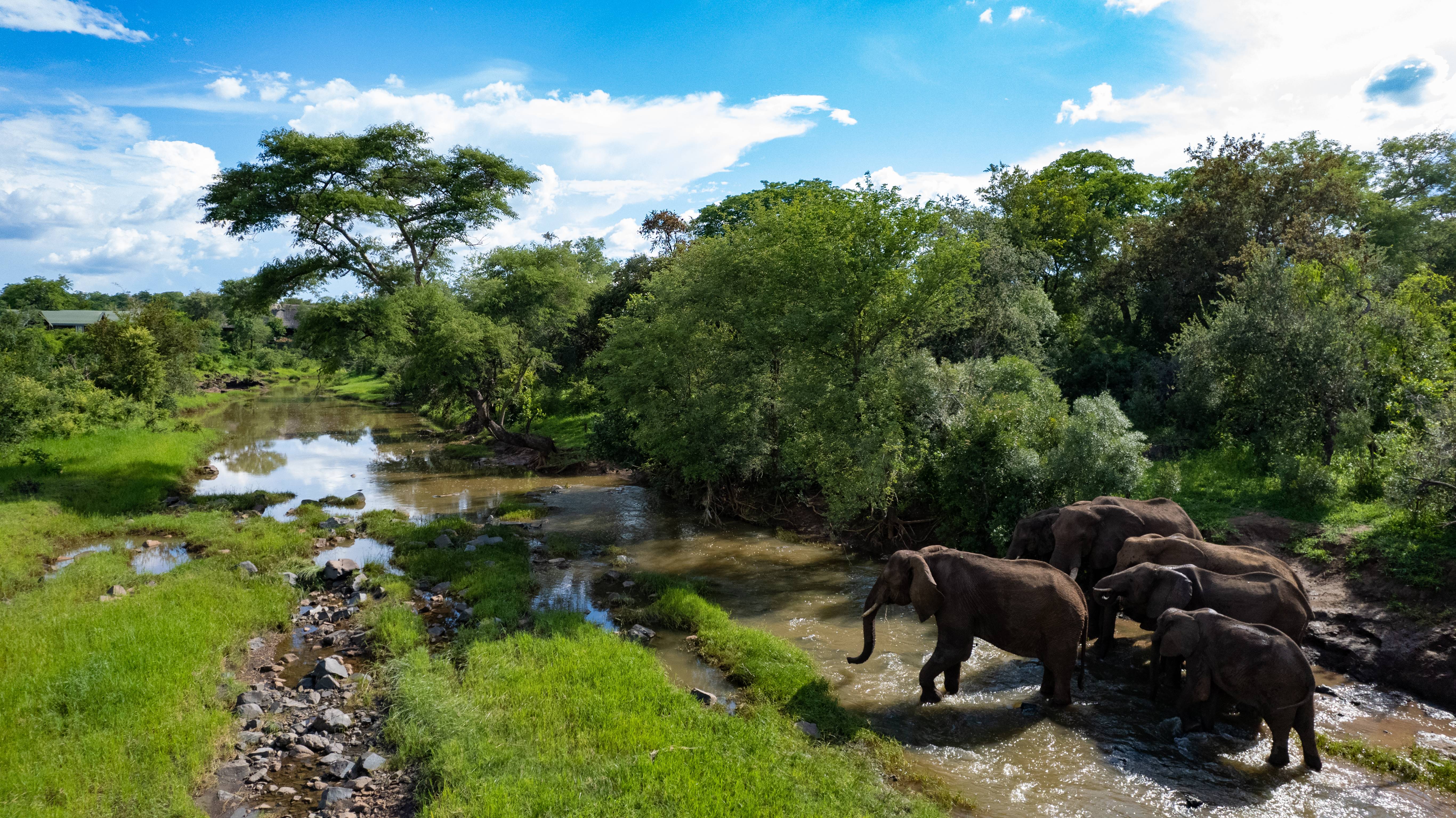 The Wallow Lodge en Victoria Falls